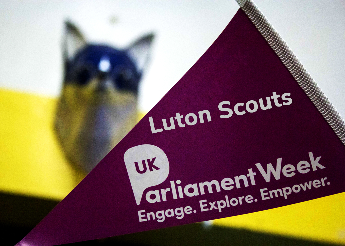 Luton Scouts Parliament Week November 2018